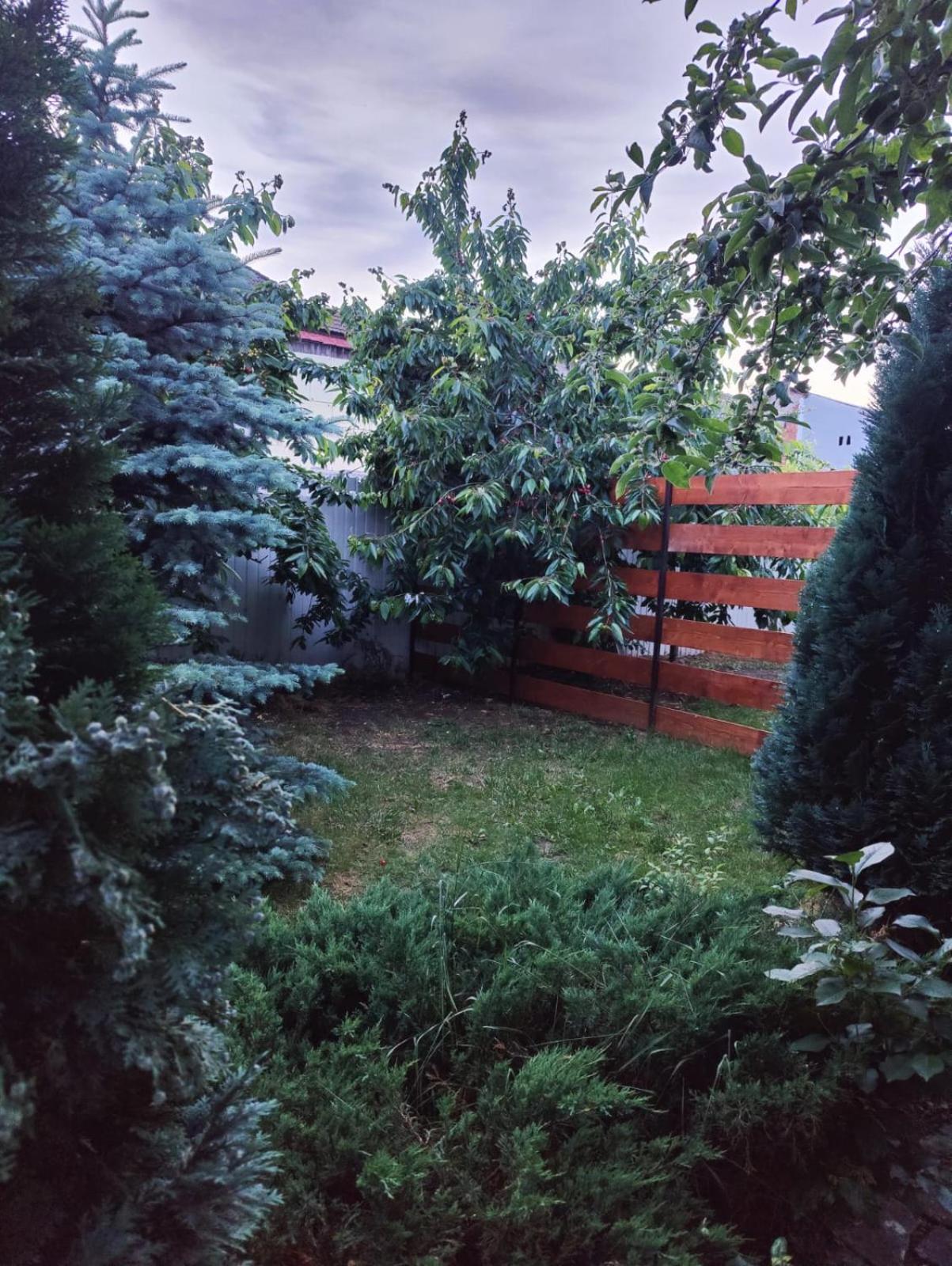 Luxus Cluj Airport Apartments 外观 照片