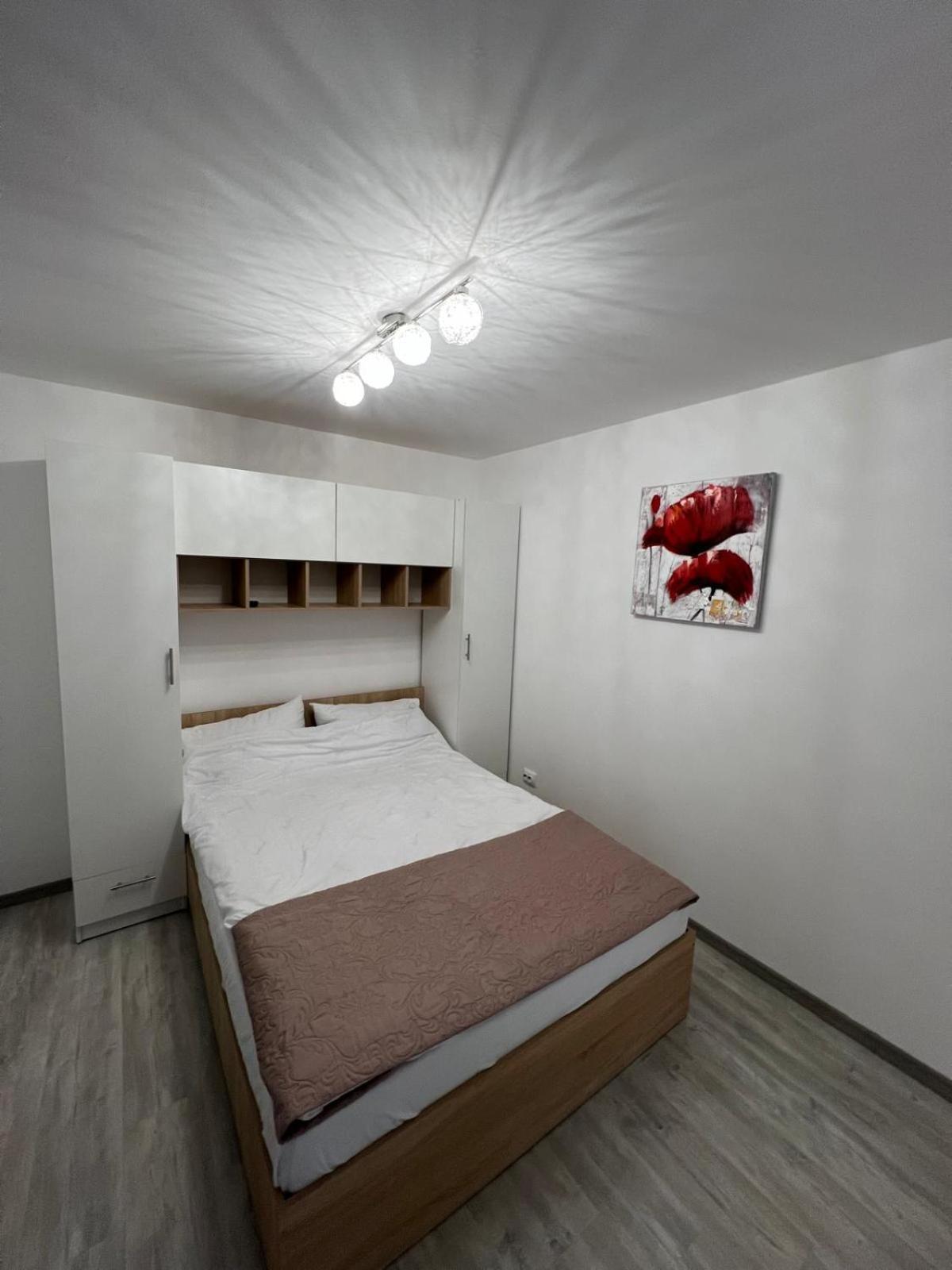 Luxus Cluj Airport Apartments 外观 照片